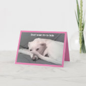 Carte Photo du chien triste se cachant derrière la queue (Devant)