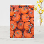 Carte Photo du Motif Citrouille Halloween Mini (Fleur jaune)