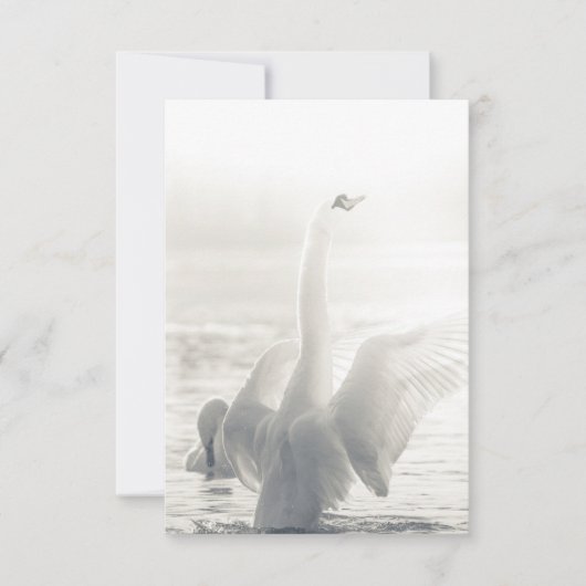 Carte Photo du Swan de bain (Devant)