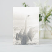 Carte Photo du Swan de bain (Debout devant)