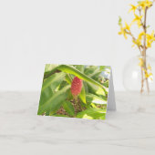 Carte Photo d'un bourgeon de fleurs de Shampoo Ginger (Fleur jaune)