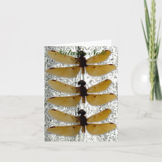 CARTE PHOTO FEUILLE DE DRAGONFLY (Devant)