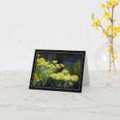 Carte photo fleur sauvage (Fleur jaune)