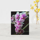 Carte photo Fleurs orchidées (Fleur jaune)