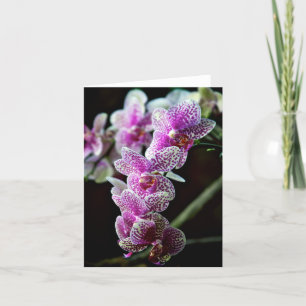 Carte photo Fleurs orchidées