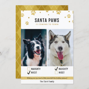 Carte photo Gold Naughty ou Nice Two Dog Christmas