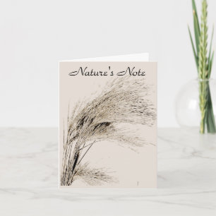 CARTE PHOTO GRASS BARLEY