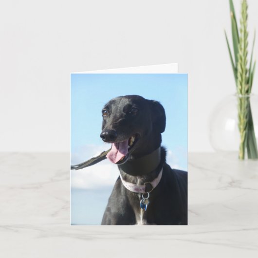 Carte Photo Greyhound (p11) (Devant)