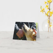 Carte Photo Greyhound (p284) (Fleur jaune)