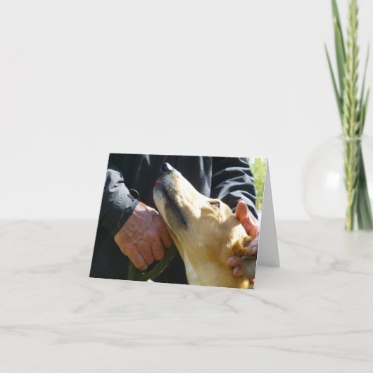 Carte Photo Greyhound (p284) (Devant)