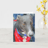 Carte Photo Greyhound (p290) (Fleur jaune)