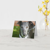 Carte photo Greyhound (p4) (Fleur jaune)