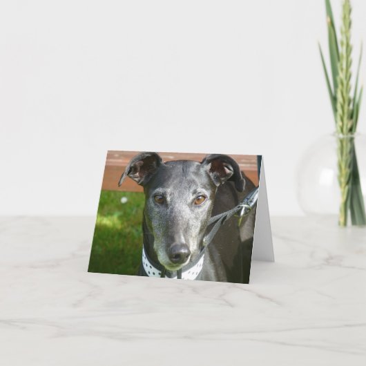 Carte photo Greyhound (p4) (Devant)