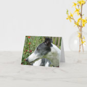 Carte photo Greyhound (p5) (Fleur jaune)