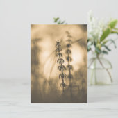 Carte photo Horsetail Sepia (Debout devant)