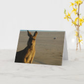Carte photo Kangaroo (Fleur jaune)