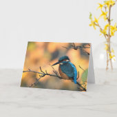 Carte Photo Kingfisher. (Fleur jaune)