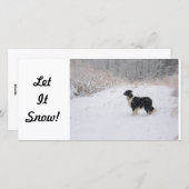 carte photo - Laisse-Le Neiger ! (Devant / Derrière)