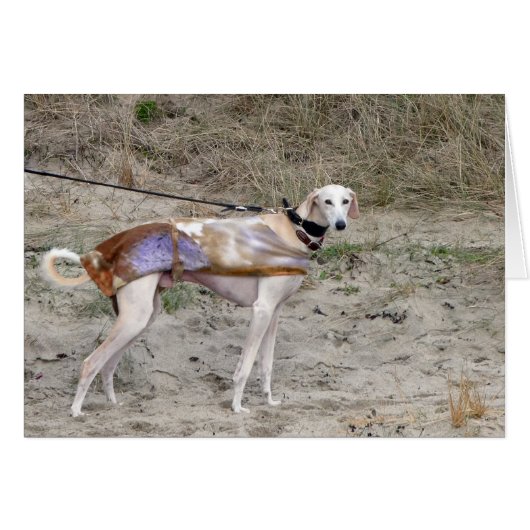 Carte photo Lurcher (Devant Horizontal)