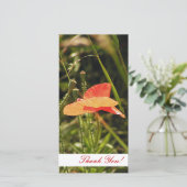 Carte photo Merci (Debout devant)