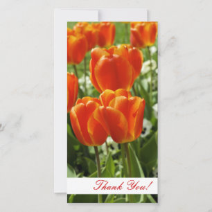 Carte photo Merci