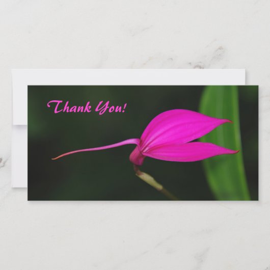 Carte photo Merci (Devant)