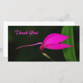 Carte photo Merci (Devant / Derrière)