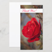 Carte photo Merci (Devant / Derrière)