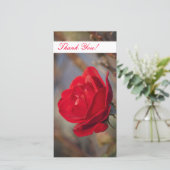 Carte photo Merci (Debout devant)