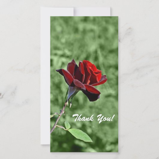 Carte photo Merci (Devant)