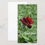 Carte photo Merci (Devant / Derrière)