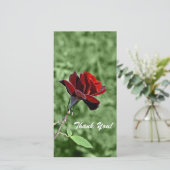 Carte photo Merci (Debout devant)