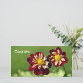 Carte photo Merci (Debout devant)