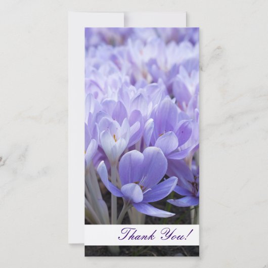 Carte photo Merci (Devant)