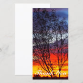 carte photo Merci - coucher de soleil (Devant / Derrière)
