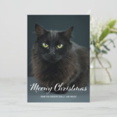 Carte photo moderne Meowy Christmas Chat Christmas (Debout devant)