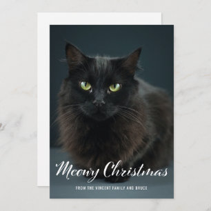 Carte photo moderne Meowy Christmas Chat Christmas