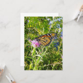 Carte Photo Monarch Butterfly (Devant/Arrière en situation)