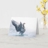 Carte Photo nature de Greylag (Fleur jaune)