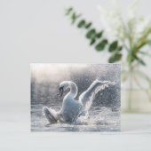 Carte photo naturel de Swan (Debout devant)