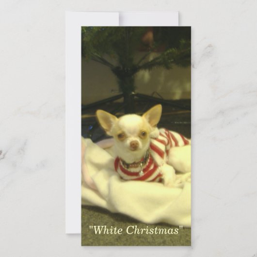 carte photo "Noël blanc" avec/sans enveloppe (Devant)