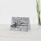 Carte Photo noir et blanc (Devant)