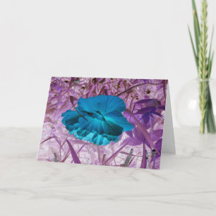 Carte Photo Numériquement "Blue Poppy" : Fleur, Herbe