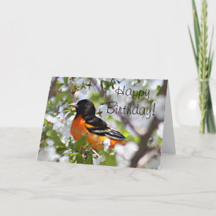 Carte Photo Oriole