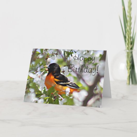 Carte Photo Oriole (Devant)