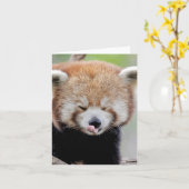 Carte Photo Panda rouge , animaux 0634. (Fleur jaune)