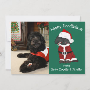 Carte Photo personnalisée Noël Labradoodle Père Noël Hol