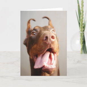 Carte Photo personnalisée pour animal de compagnie (chie