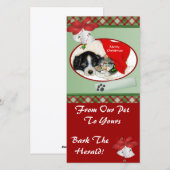 Carte photo Pet Christmas (Devant / Derrière)