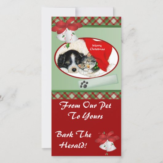Carte photo Pet Christmas (Devant)